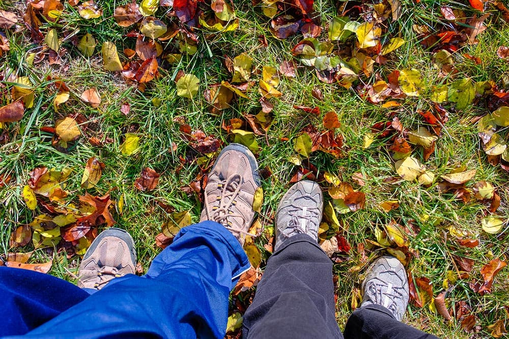 Forest Bathing